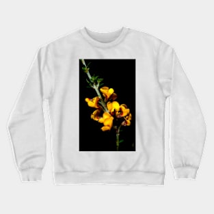 Spring Breakfast Crewneck Sweatshirt